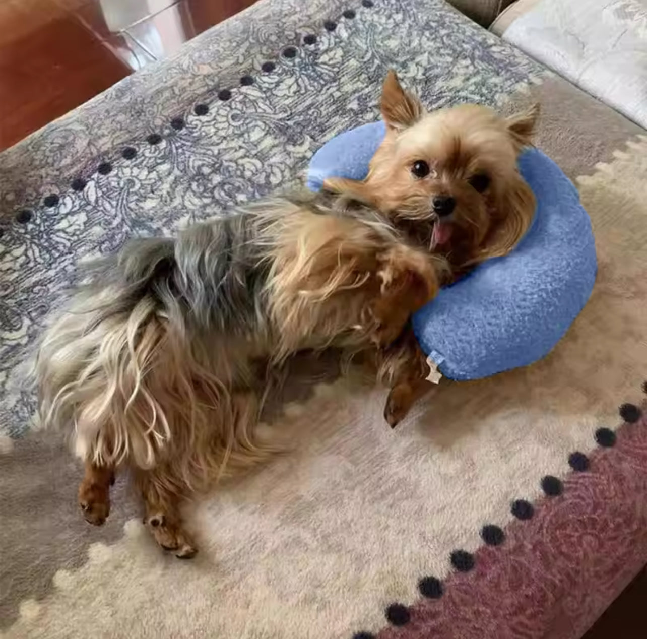BE8F4F08-5F93-4148-9BFF-5DAC5BA08B99.jpg Calming Pillow for Cats & Dogs - Image 1