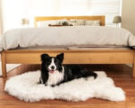 Faux Fur Pup Rug