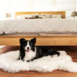 Faux Fur Pup Rug
