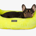 Fun Bed