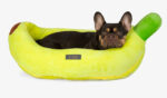 Fun Bed