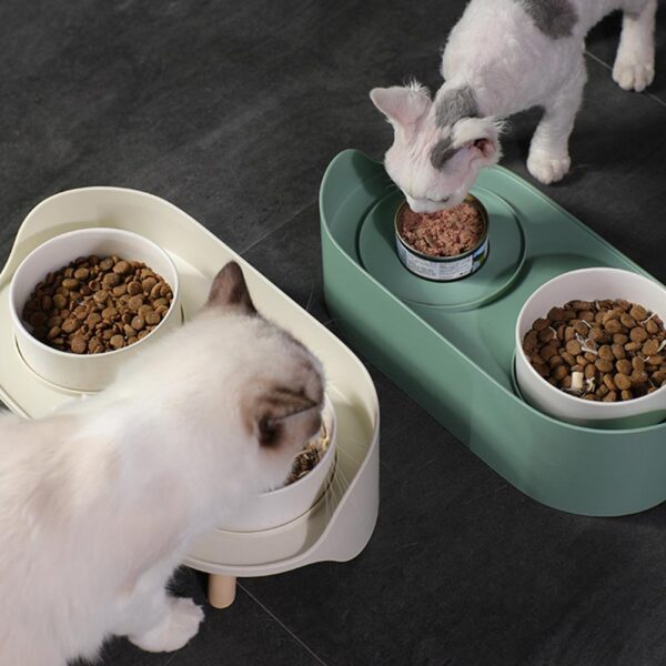 DUAL ELEVATED FEEDING BOWL