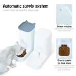 Large Capacity Automatic Feeder - Image 3