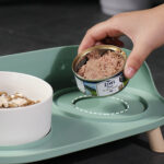 DUAL ELEVATED FEEDING BOWL - Image 19