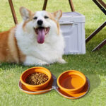 2 in 1 Foldable Travel Pet Bowl - Image 2