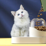 Transparent Bubble Feeder
