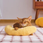 Calming Pillow for Cats & Dogs - Image 3
